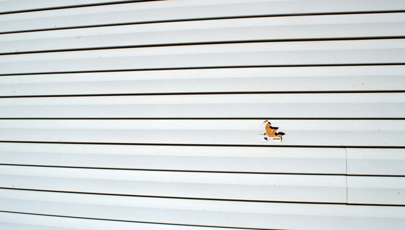 Specialized Repair Teams